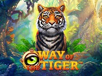 เกมสล็อต Way of the Tiger